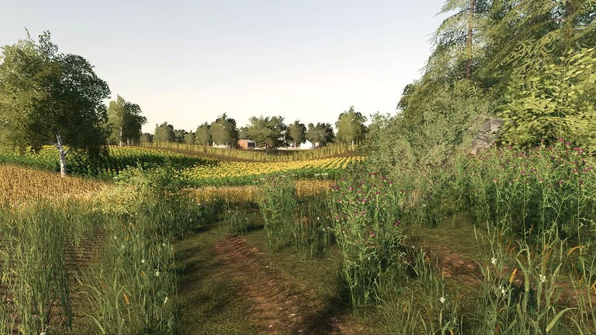 Farming Simulator 19 — Деревня Каминки