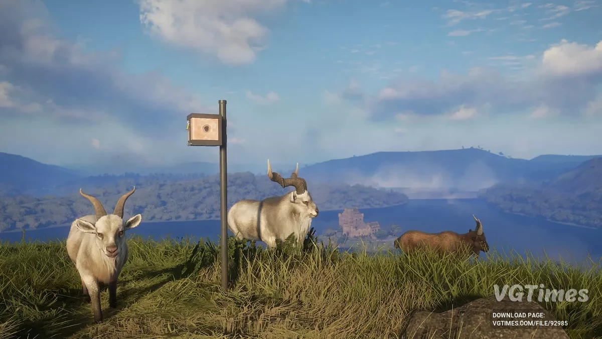 theHunter: Call of the Wild — Таблица для Cheat Engine