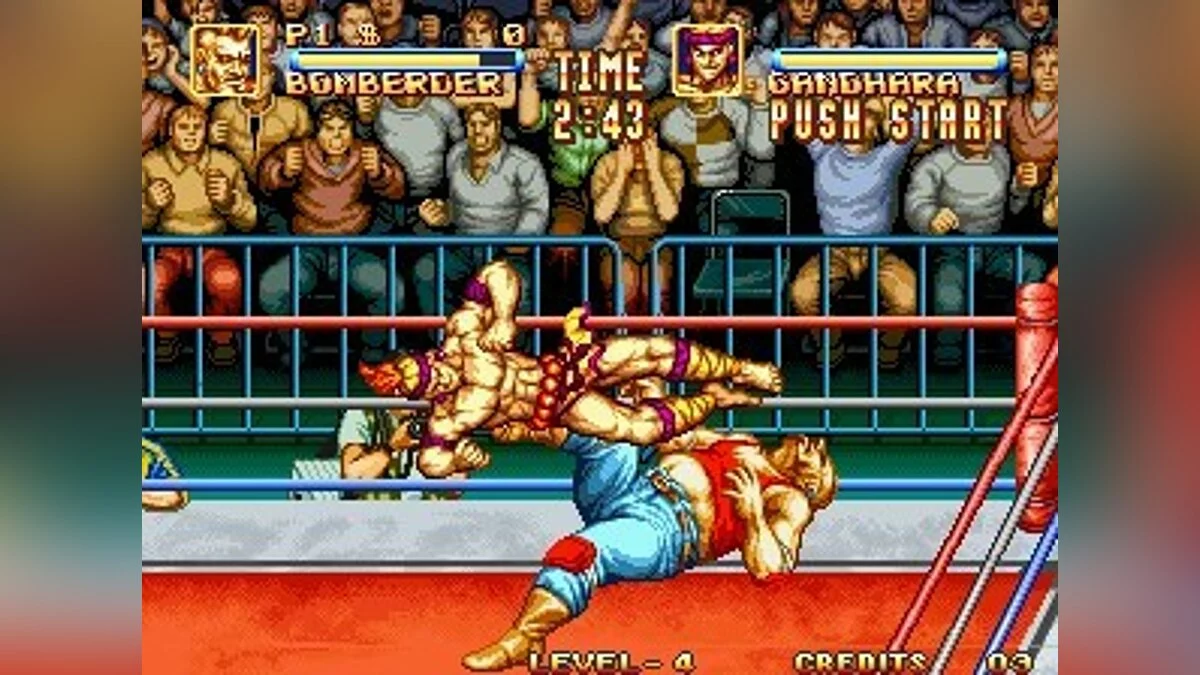 Скриншоты из 3 Count Bout / Картинка 48