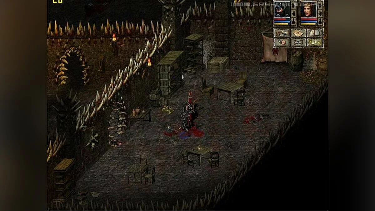 Скриншоты из Beyond Divinity / Картинка 15