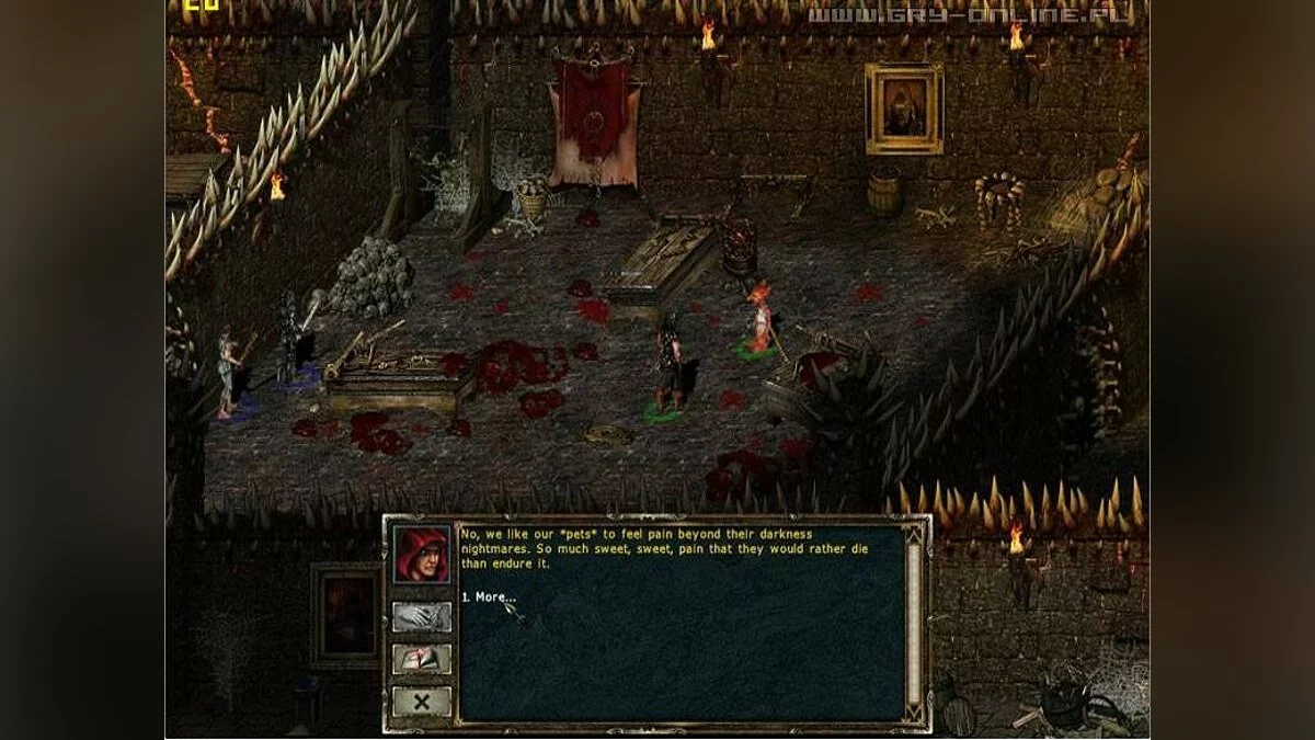 Скриншоты из Beyond Divinity / Картинка 16