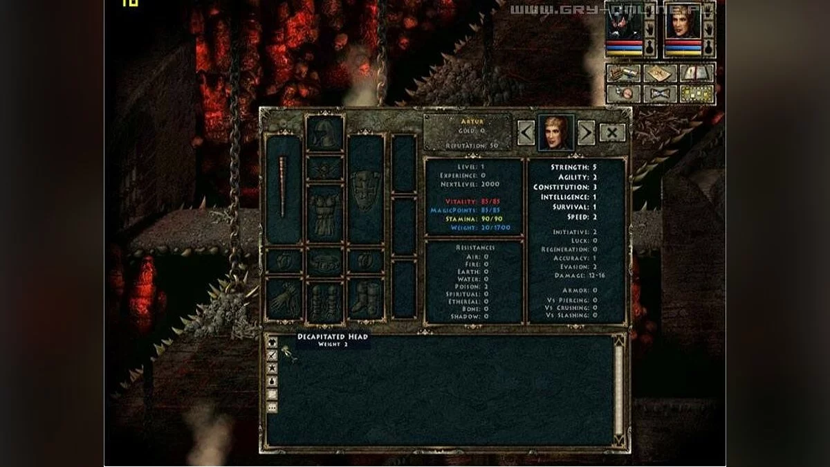 Скриншоты из Beyond Divinity / Картинка 19