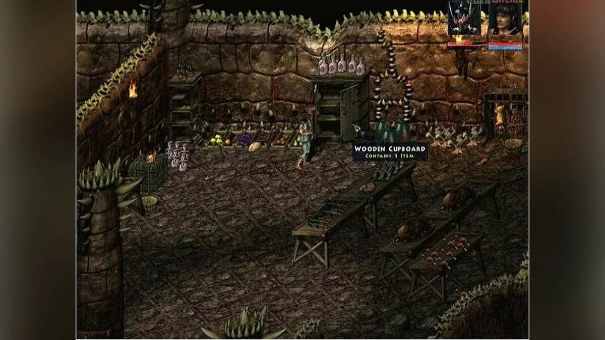 Скриншоты из Beyond Divinity / Картинка 24