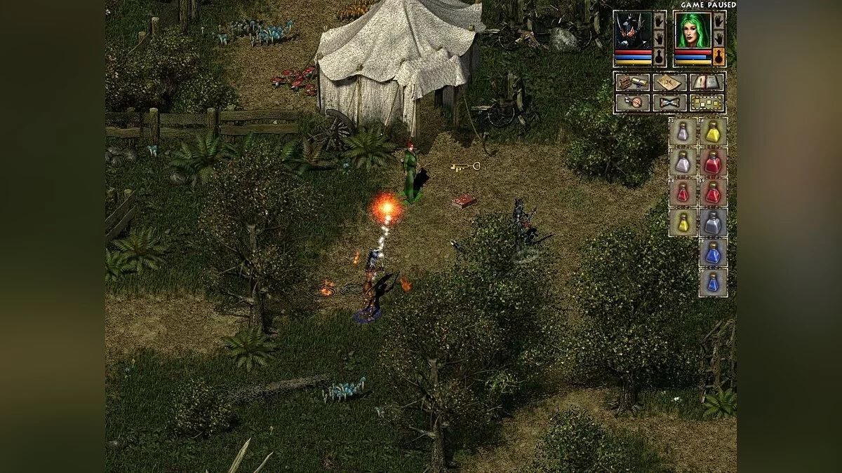 Скриншоты из Beyond Divinity / Картинка 38