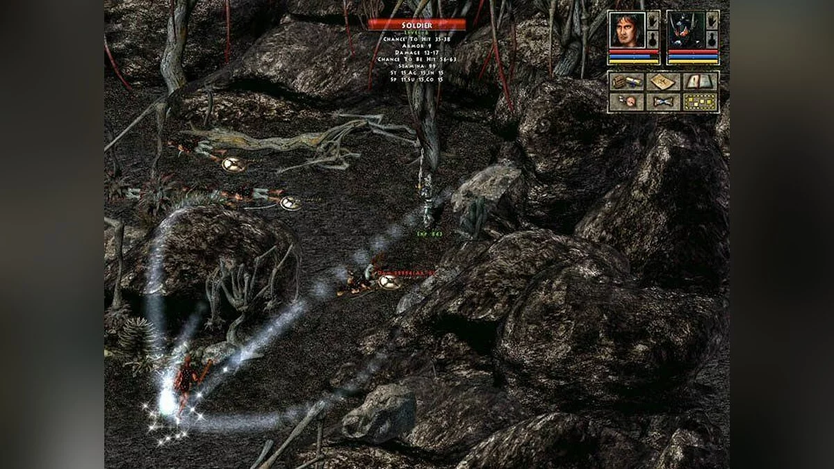 Скриншоты из Beyond Divinity / Картинка 9