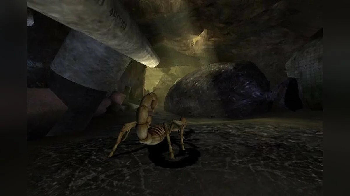 Скриншоты из Deadly Creatures / Картинка 59