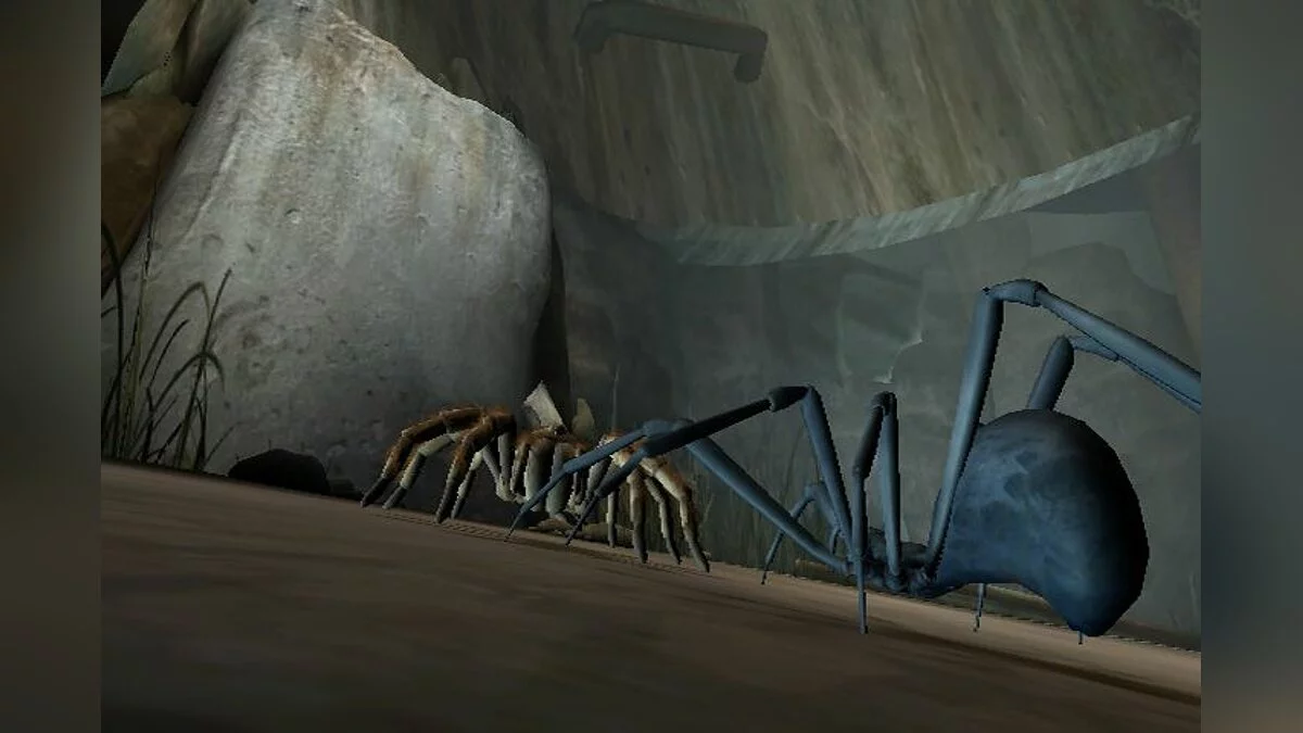 Скриншоты из Deadly Creatures / Картинка 11