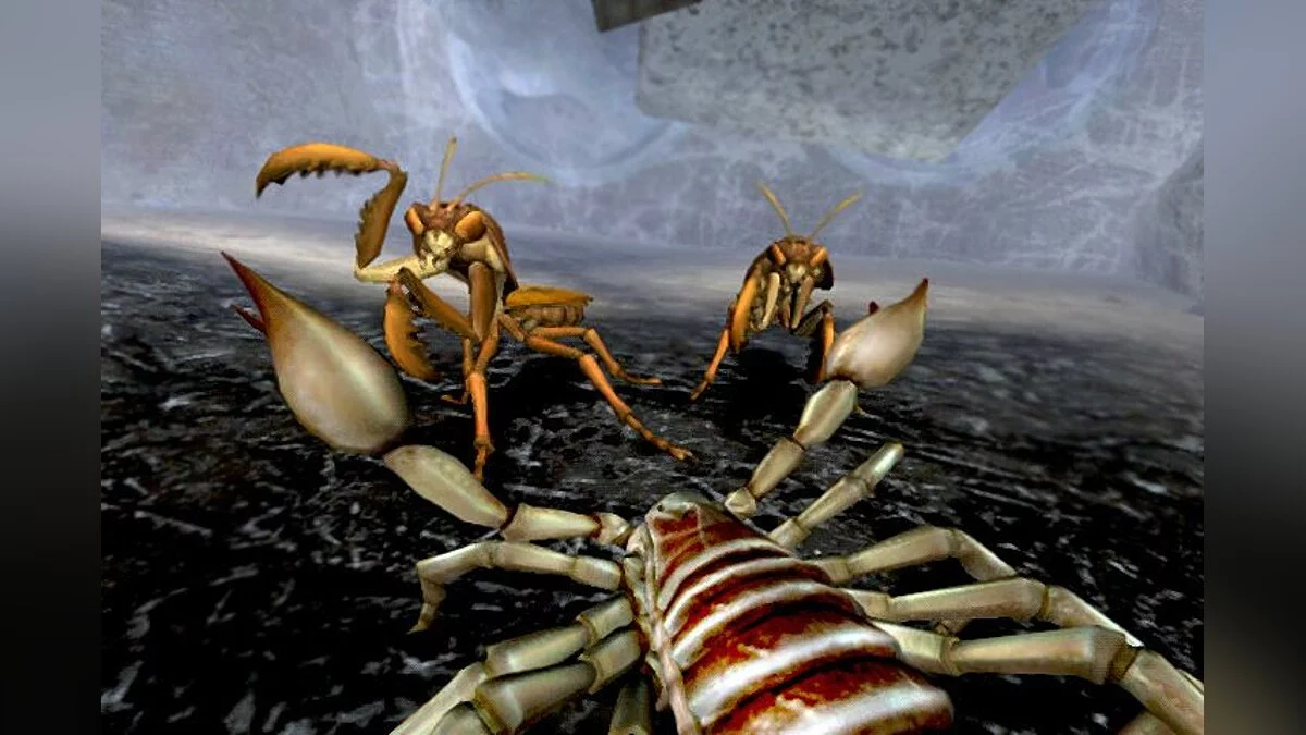 Скриншоты из Deadly Creatures / Картинка 20