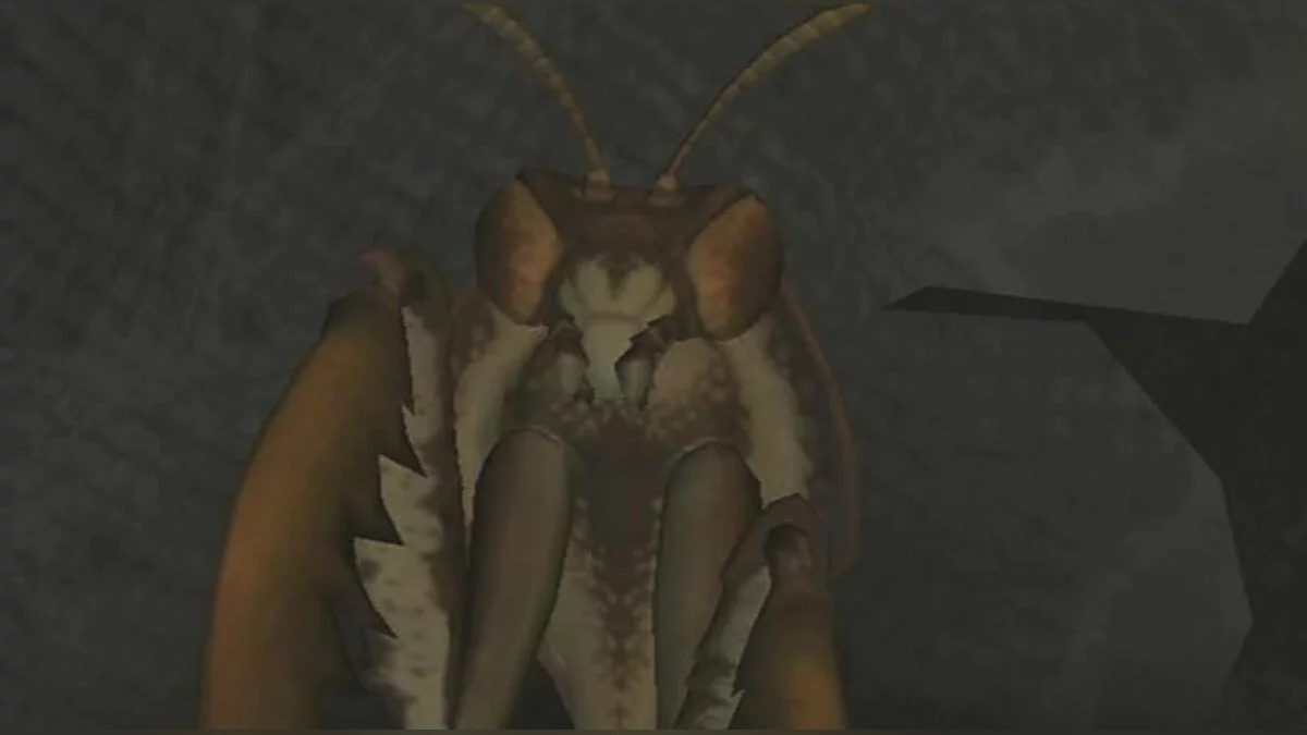 Картинка из 