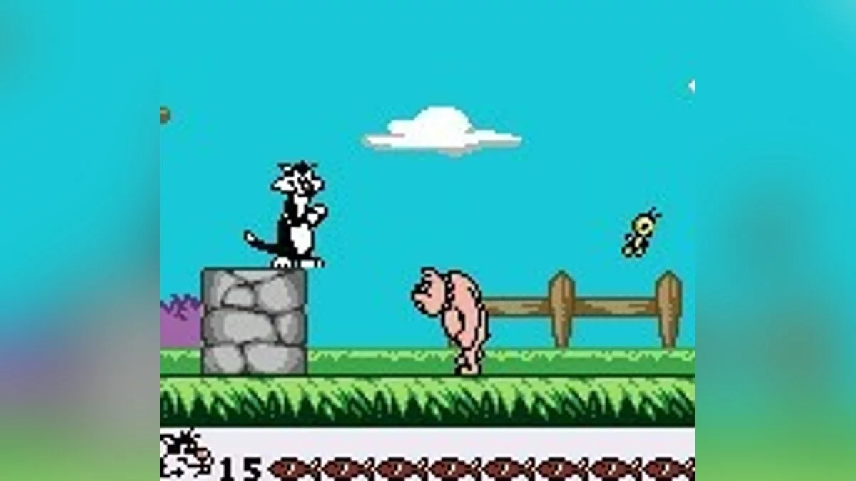 Картинка из 