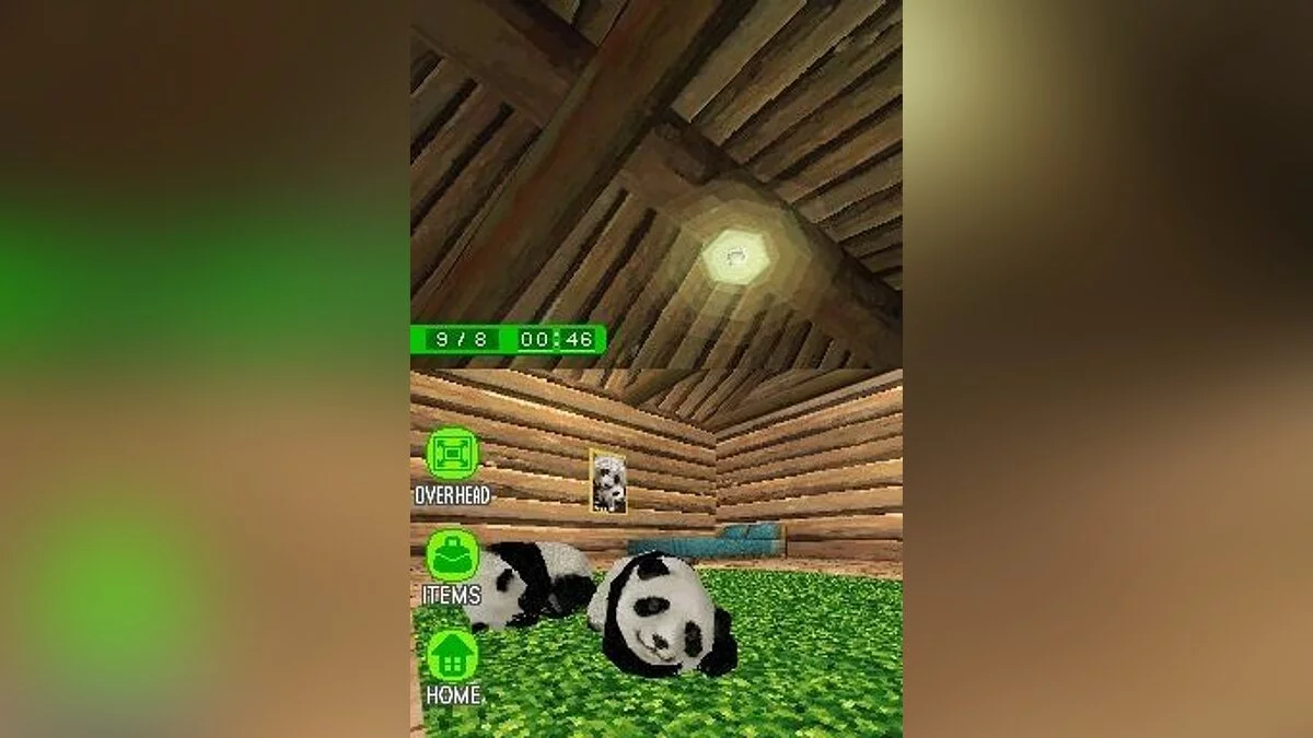 Скриншоты из National Geographic Panda / Картинка 3