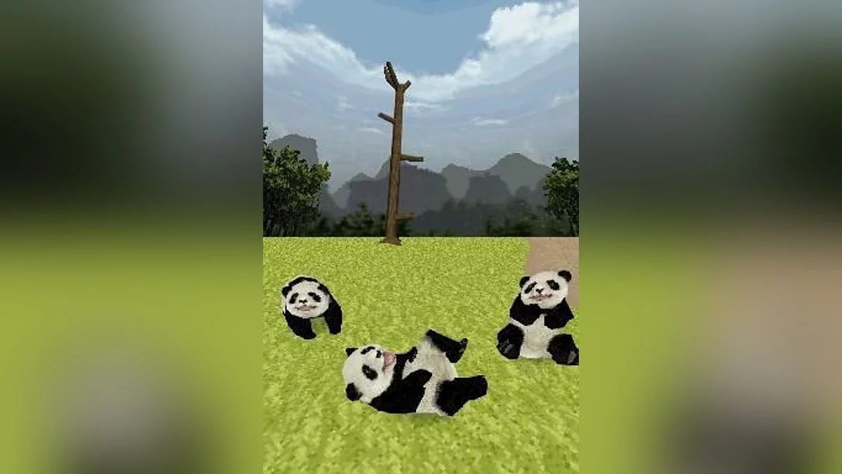 Скриншоты из National Geographic Panda / Картинка 40