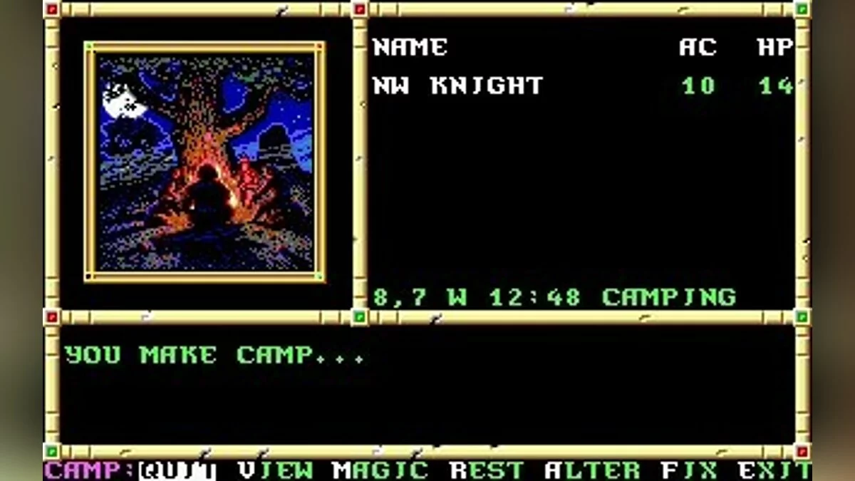 Скриншоты из Neverwinter Nights (1991) / Картинка 14