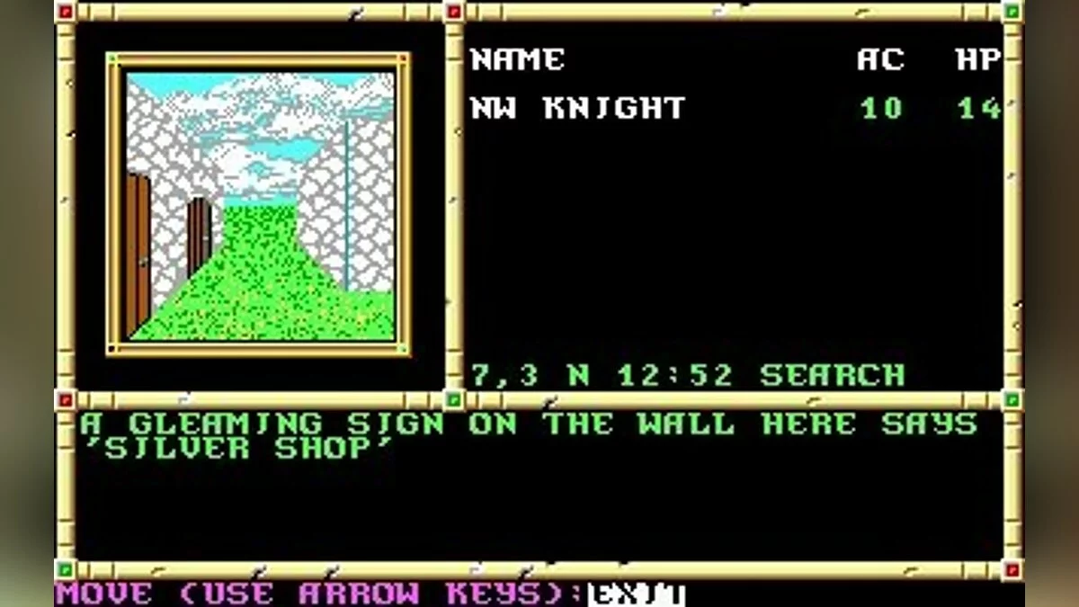 Скриншоты из Neverwinter Nights (1991) / Картинка 17