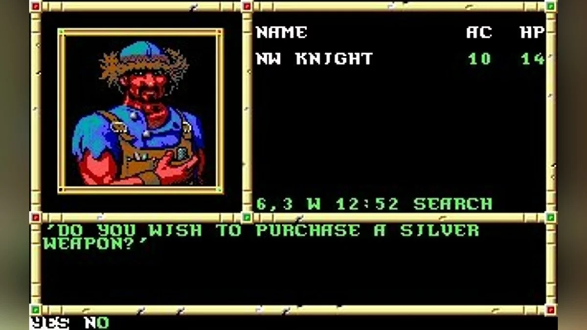 Скриншоты из Neverwinter Nights (1991) / Картинка 18