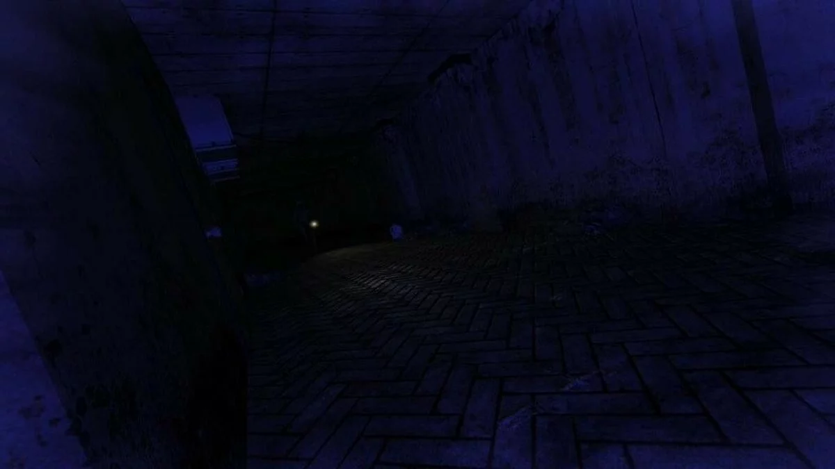 Скриншоты из Penumbra: Black Plague / Картинка 34
