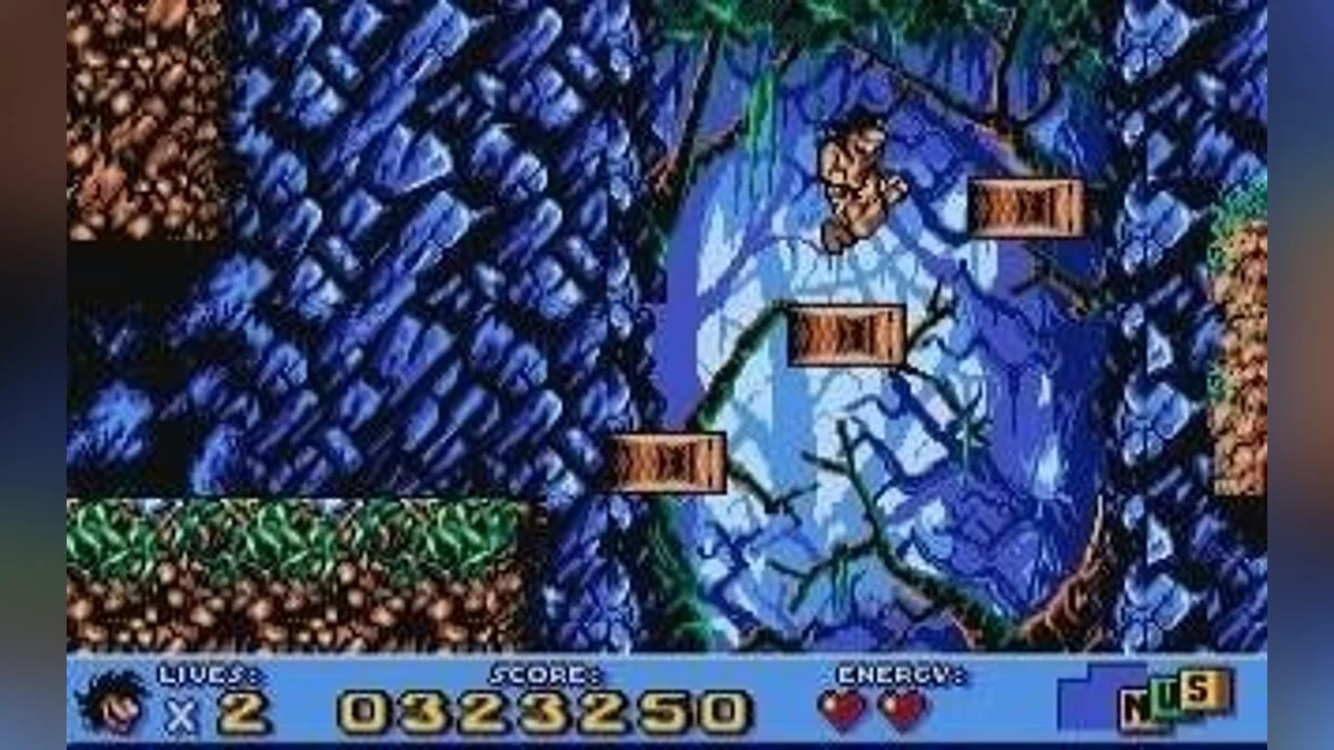 Скриншоты из Prehistorik 2 / Картинка 19