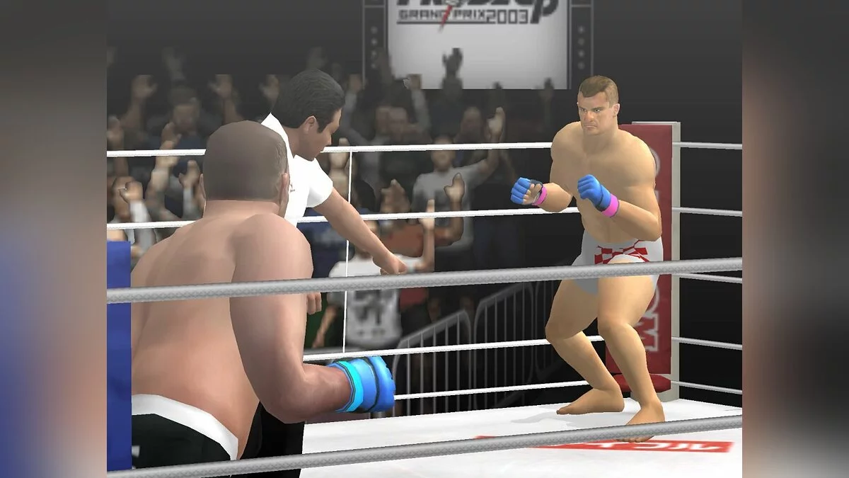 Скриншоты из Pride GP Grand Prix 2003 / Картинка 31