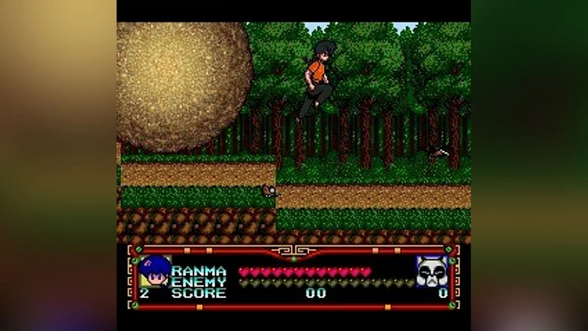 Скриншоты из Ranma 1/2 / Картинка 36