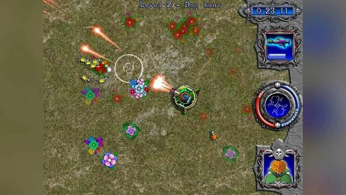 Картинка из 