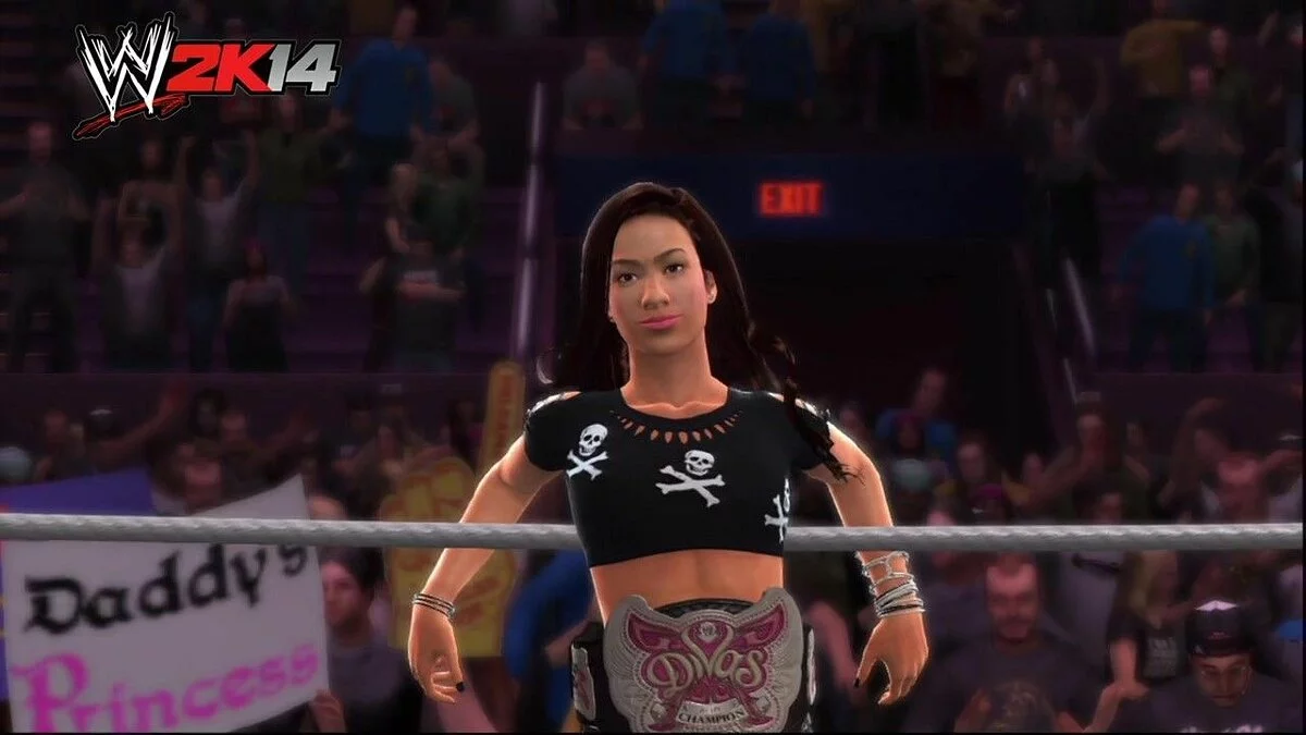 Девушки из WWE / Картинка 2