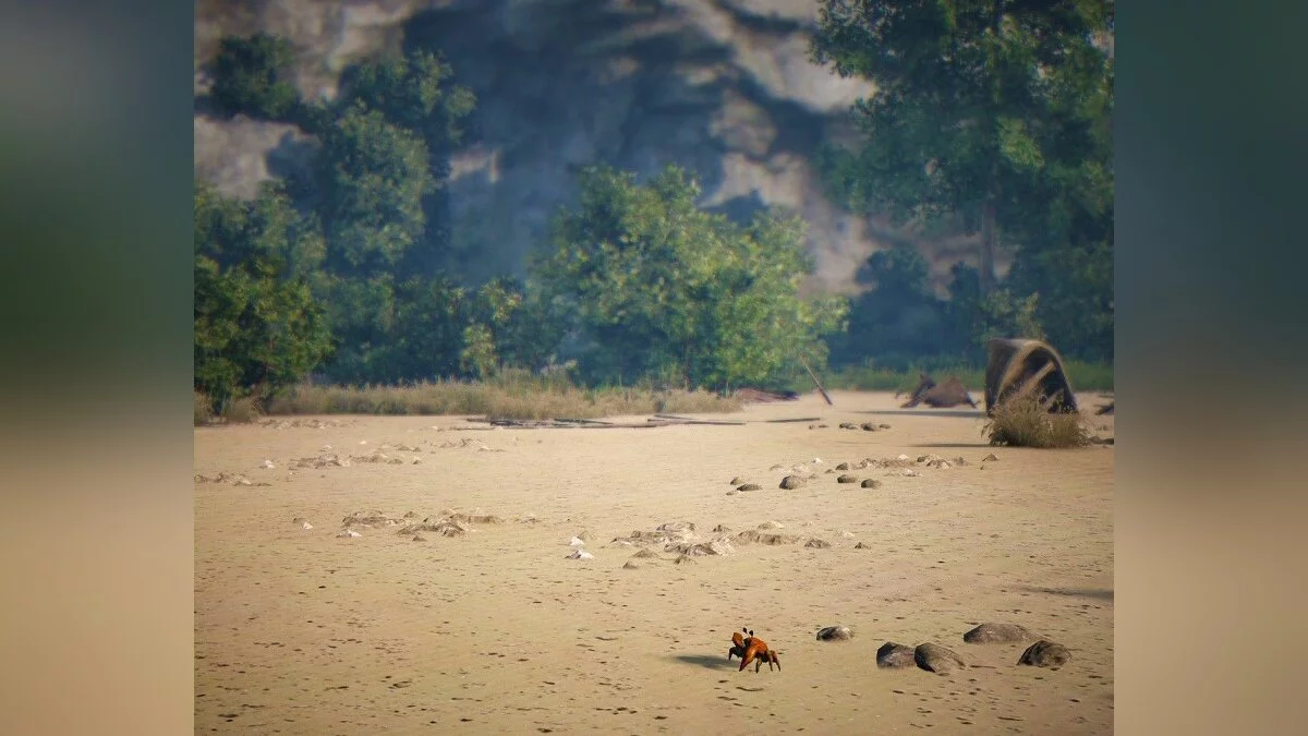 Скриншоты из Black Desert / Картинка 87