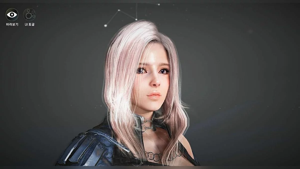 Скриншоты из Black Desert / Картинка 19