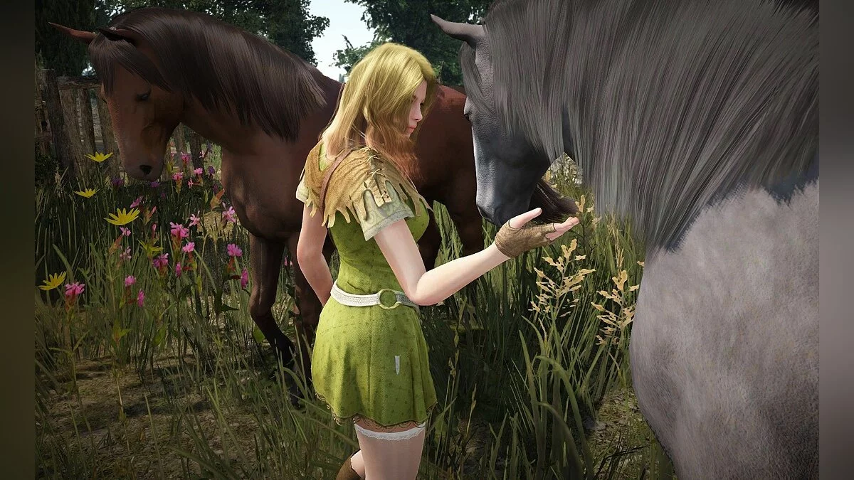 Скриншоты из Black Desert / Картинка 5