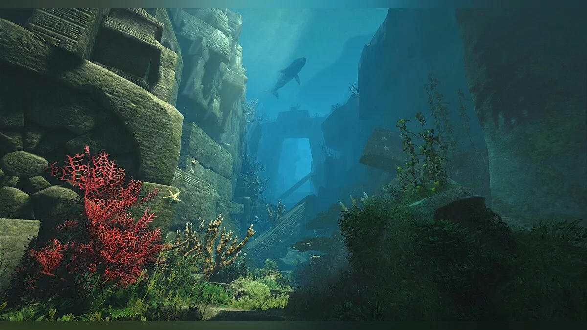 Скриншоты из Black Desert / Картинка 206