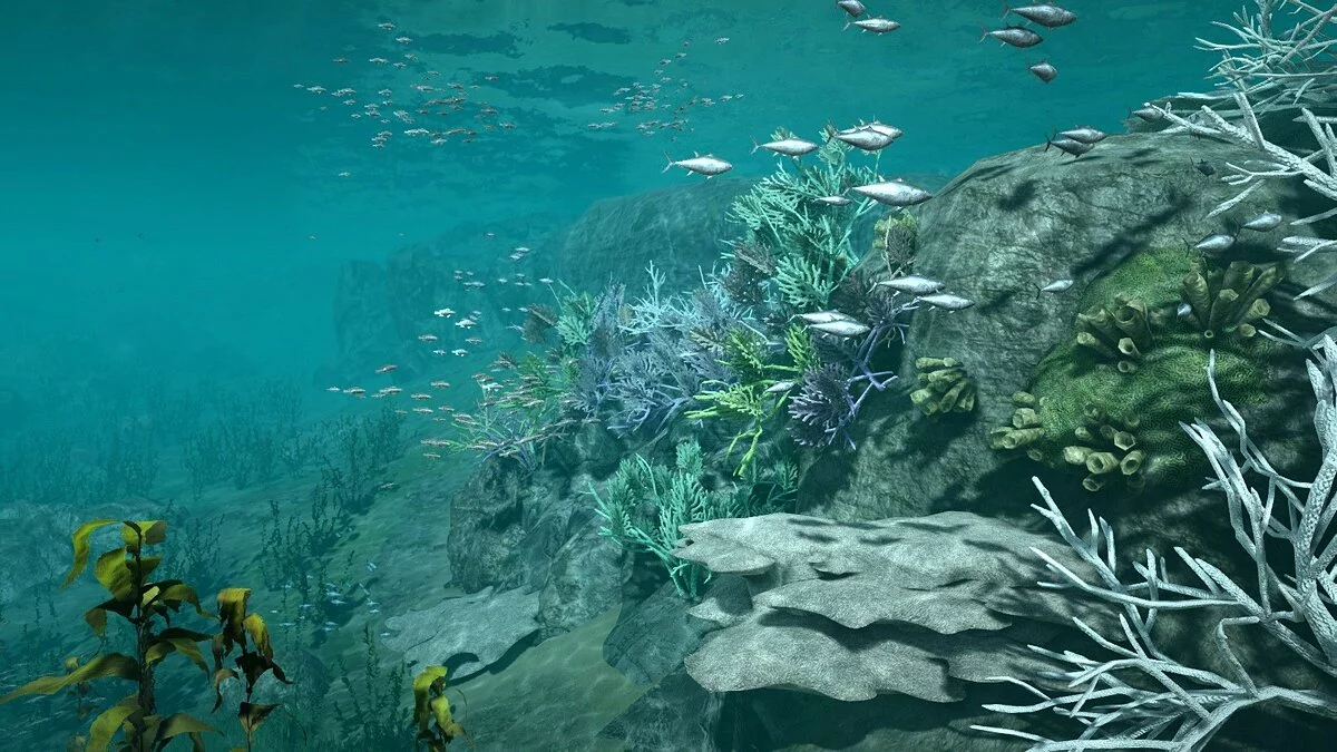 Скриншоты из Black Desert / Картинка 207