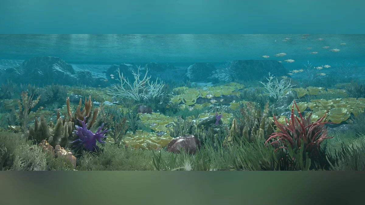 Скриншоты из Black Desert / Картинка 208