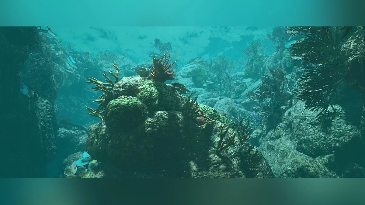 Скриншоты из Black Desert / Картинка 212