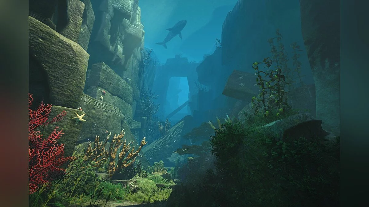 Скриншоты из Black Desert / Картинка 213