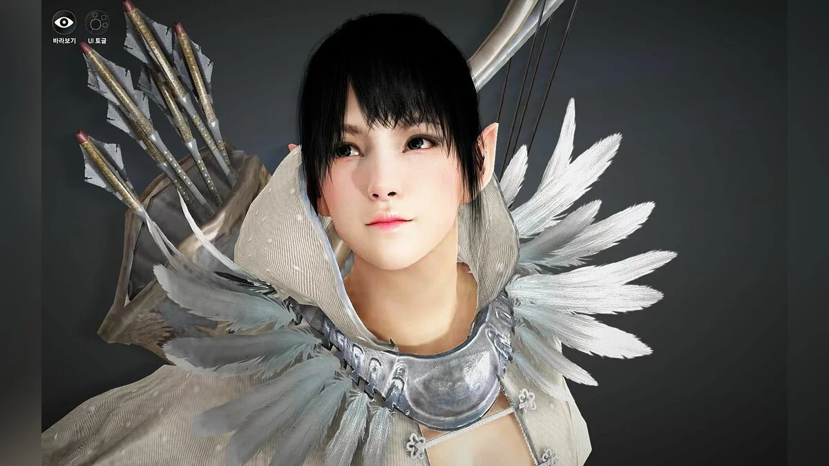 Скриншоты из Black Desert / Картинка 21