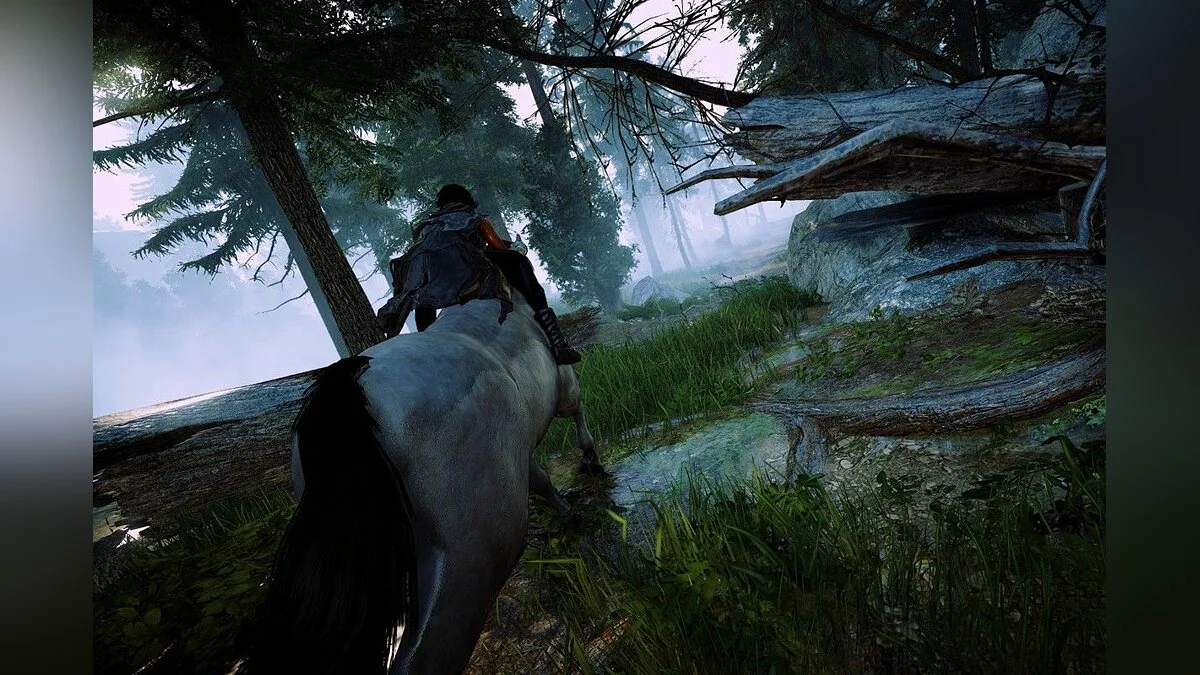 Скриншоты из Black Desert / Картинка 101