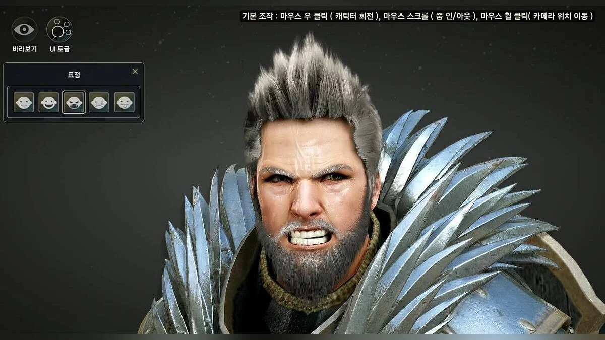 Скриншоты из Black Desert / Картинка 25