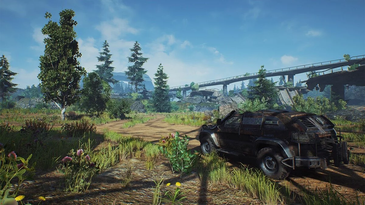 Картинка из 