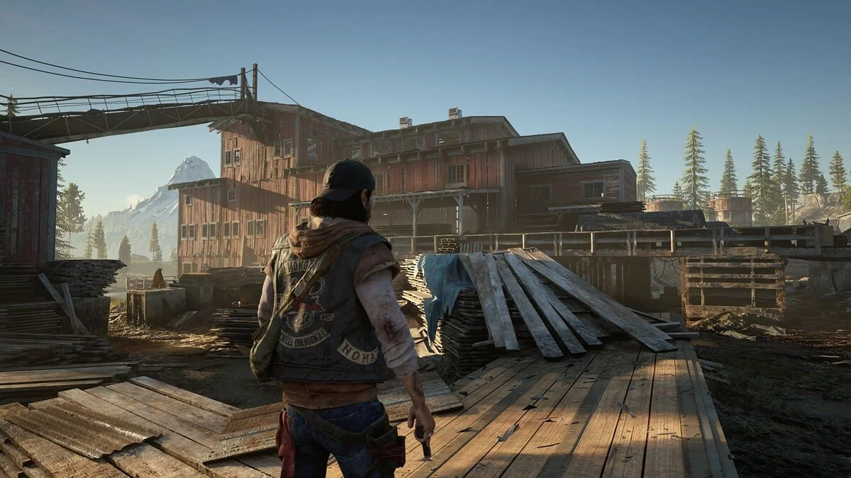 Скриншоты из Days Gone / Картинка 167