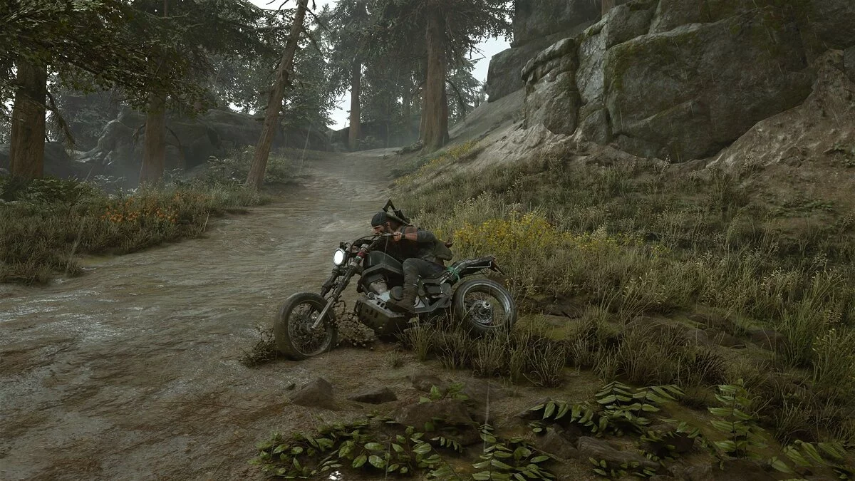 Скриншоты из Days Gone / Картинка 184