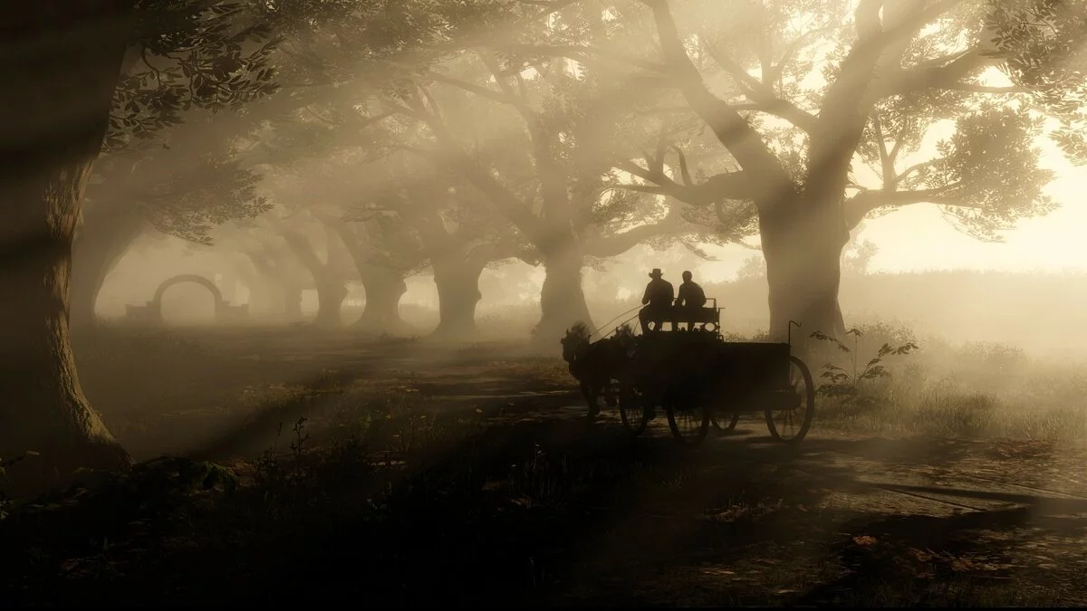 Скриншоты из Red Dead Redemption 2 / Картинка 339