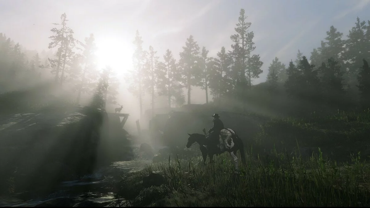 Скриншоты из Red Dead Redemption 2 / Картинка 360