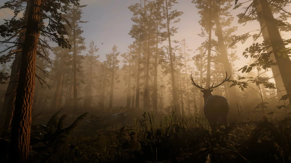 Скриншоты из Red Dead Redemption 2 / Картинка 88