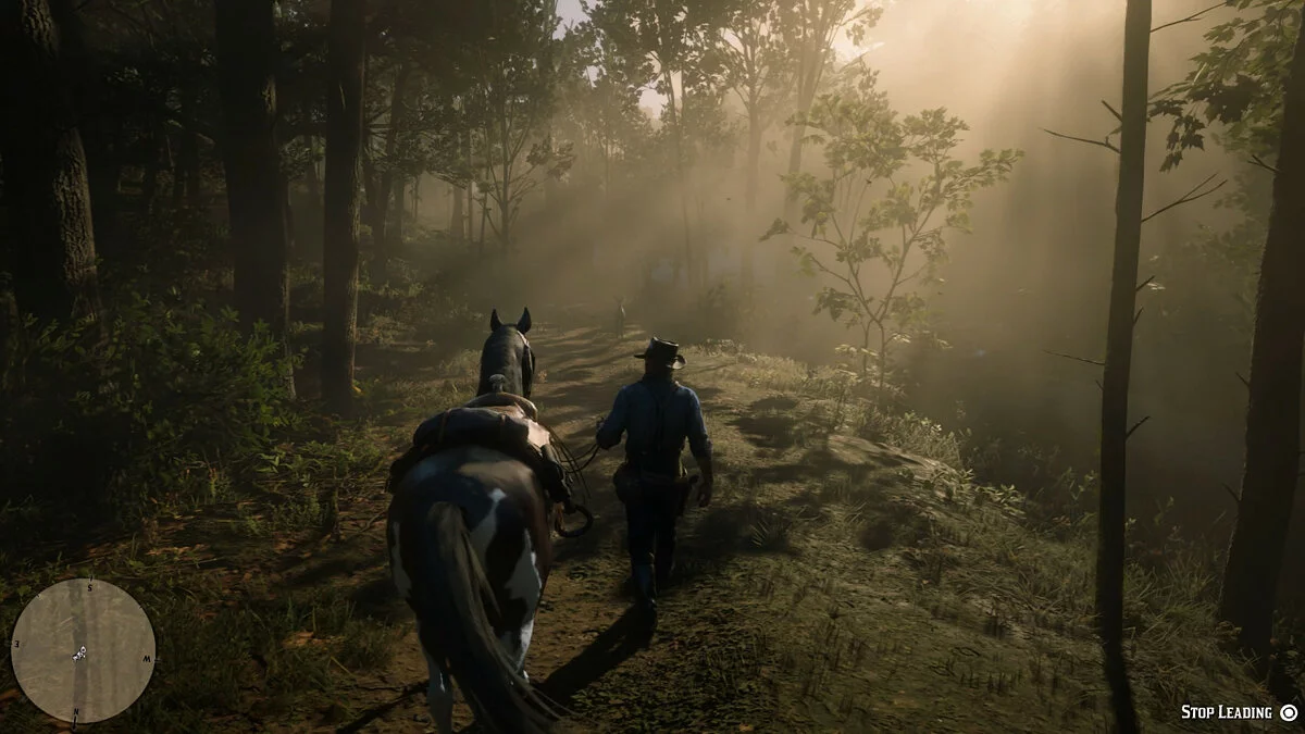 Скриншоты из Red Dead Redemption 2 / Картинка 102