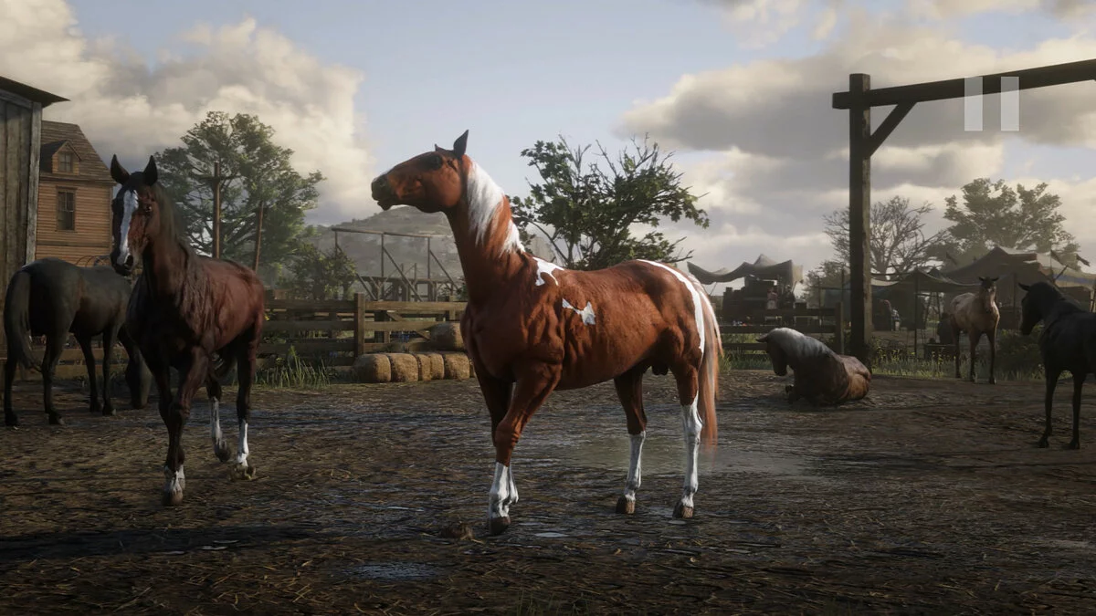 Скриншоты из Red Dead Redemption 2 / Картинка 169