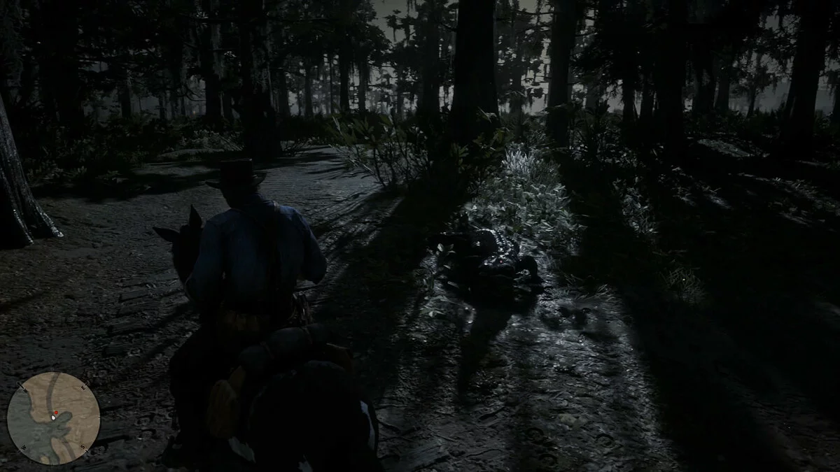 Скриншоты из Red Dead Redemption 2 / Картинка 170