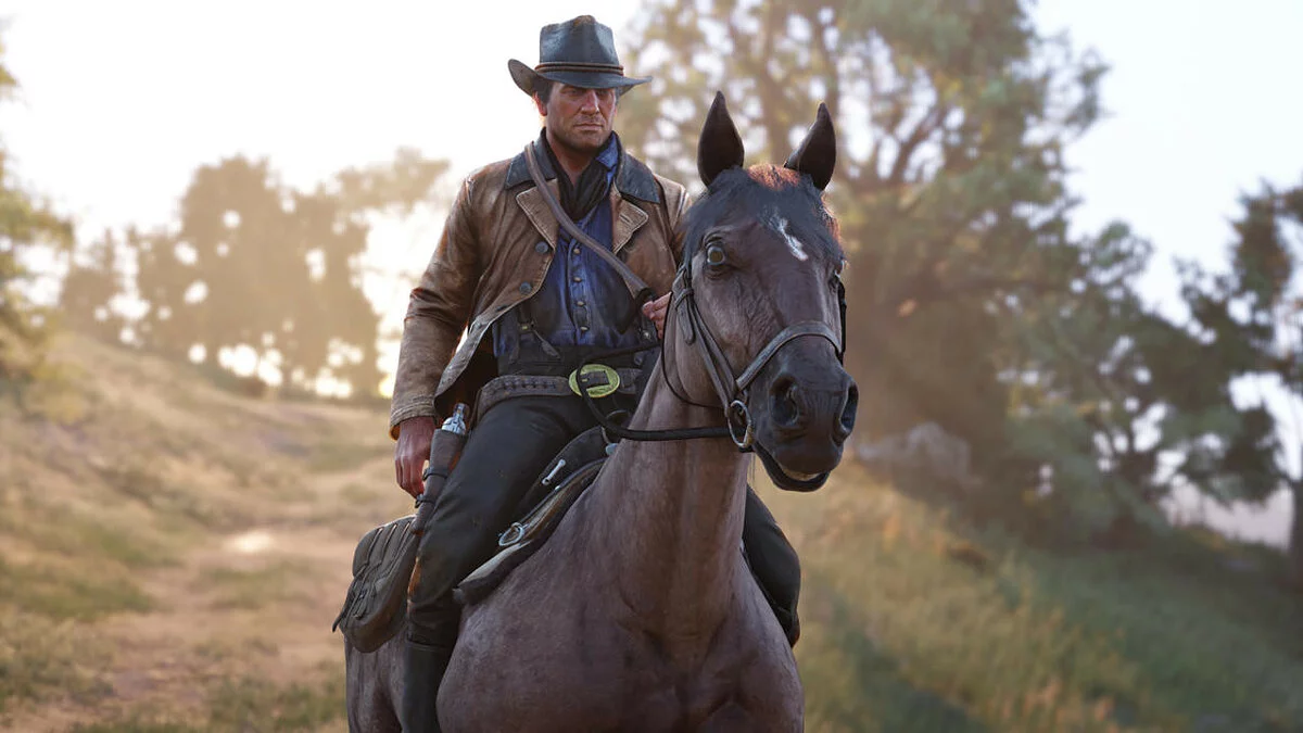 Скриншоты из Red Dead Redemption 2 / Картинка 212