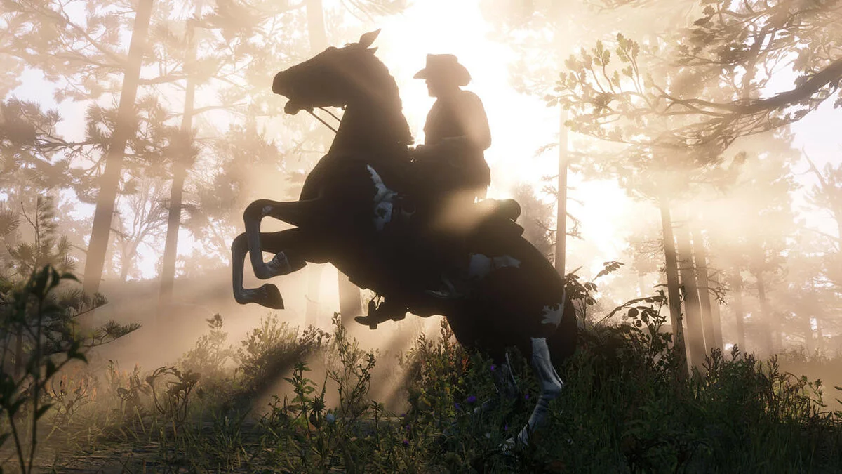 Скриншоты из Red Dead Redemption 2 / Картинка 215