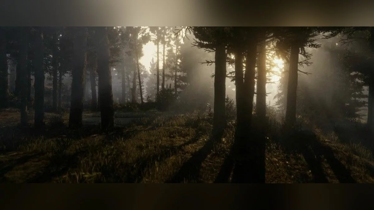 Скриншоты из Red Dead Redemption 2 / Картинка 14
