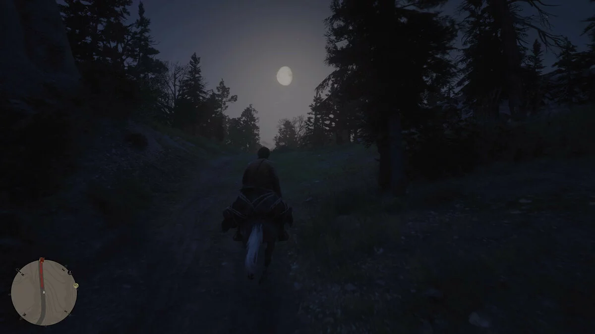 Скриншоты из Red Dead Redemption 2 / Картинка 294