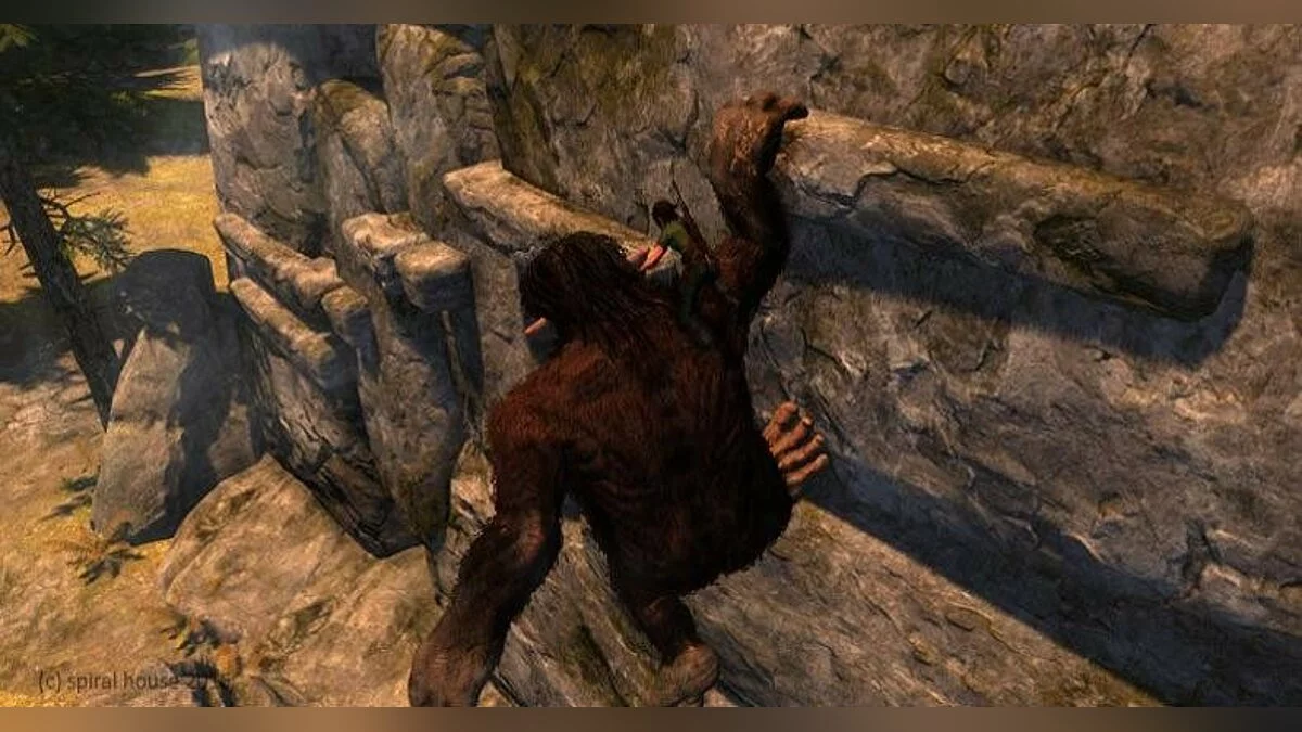 Картинка из 